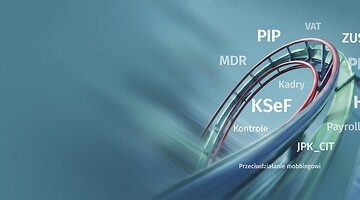 Podatkowo-Kadrowy Rollercoaster 2026, czyli codzienność księgowych, kadrowych i doradców podatkowych